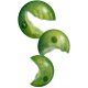 Chlorella BIO en comprimés