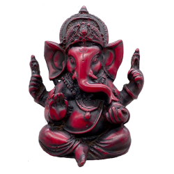 Shilajit extrait 20% gélules Pullulan