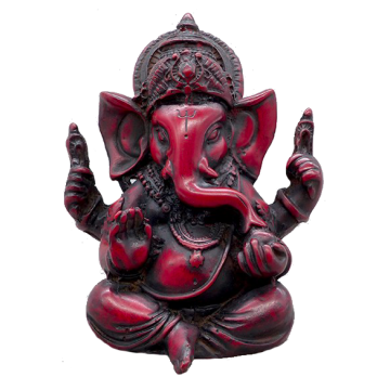 Shilajit extrait 20% gélules Pullulan