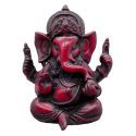 Shilajit extrait 20% gélules Pullulan