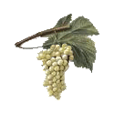 Marc de Raisin BIO en gélules