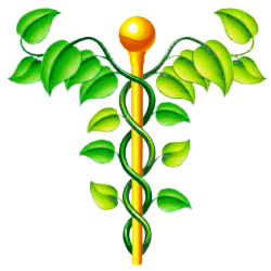 NAC N-Acétylcysteine gélules Pullulan