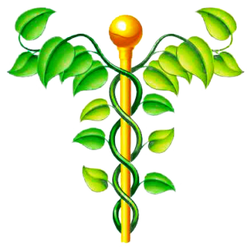 NAC N-Acétylcysteine gélules Pullulan NAC N-Acétylcysteine gélules Pullulan
