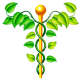 NAC N-Acétylcysteine en gélules Pullulan