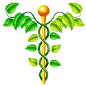 NAC N-Acétylcysteine gélules Pullulan