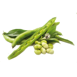Guar gomme en poudre