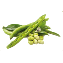 Guar gomme en poudre