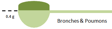 bronches-cuillère