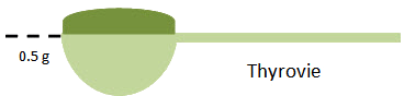 thyrovie-cuillère